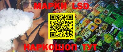 гидра Будённовск