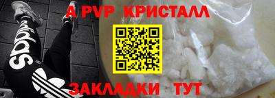 гидра Будённовск