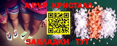 гидра Будённовск