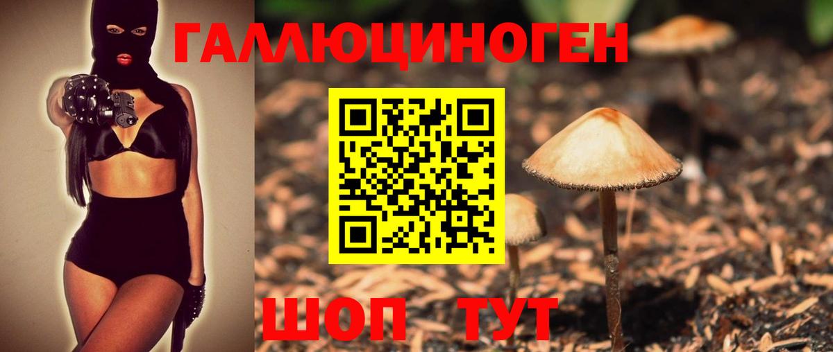 Саров  Галлюциногенные грибы GOLDEN TEACHER  Вход с VPN 
