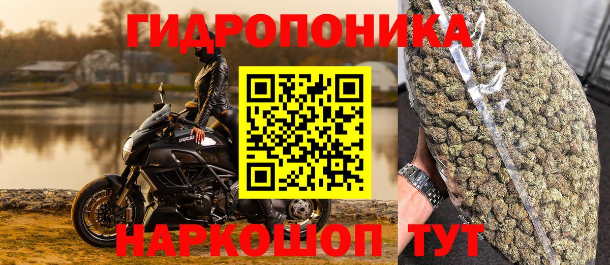 Бошки Шишки SATIVA & INDICA  Вход с VPN  Саров  Бошки Шишки сатива  Шишки марихуана VHQ 
